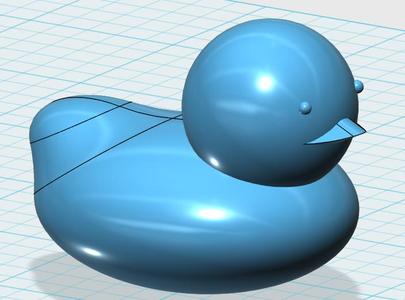 Duck