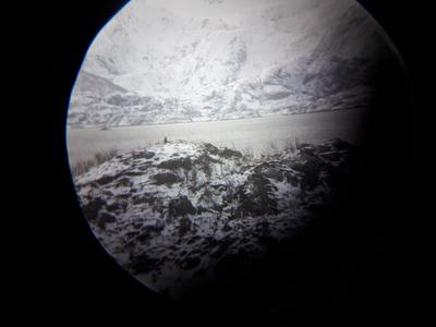 Binocular pointer stand