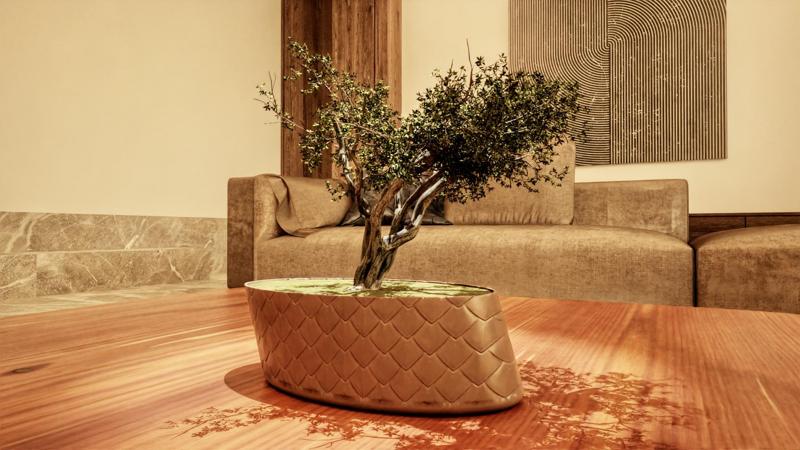 Eclipse Bonsai Planter