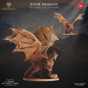 Dragonbond Tribes Exor Dragon
