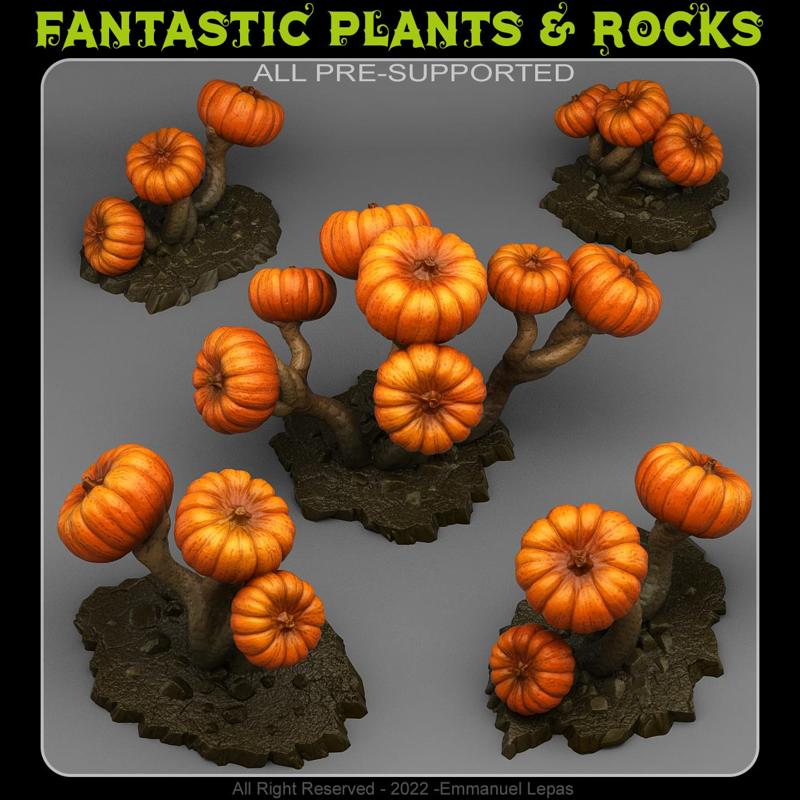 DARK PUMPKIN TREES