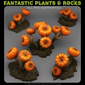 DARK PUMPKIN TREES