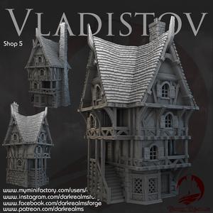 Dark Realms - Vladistov - Shop 5