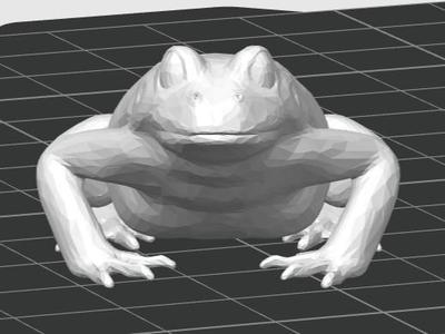 realistic frog model