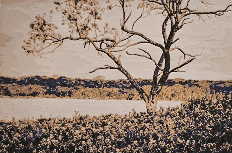 Tree with Flowers HueForge