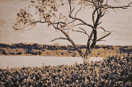 Tree with Flowers HueForge