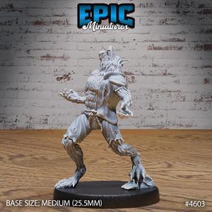 Werewolf Classic ‧ DnD Miniature ‧ Tabletop Miniatures ‧ Gaming Monster ‧ 3D Model ‧ RPG ‧ DnDminis ‧ STL FILE