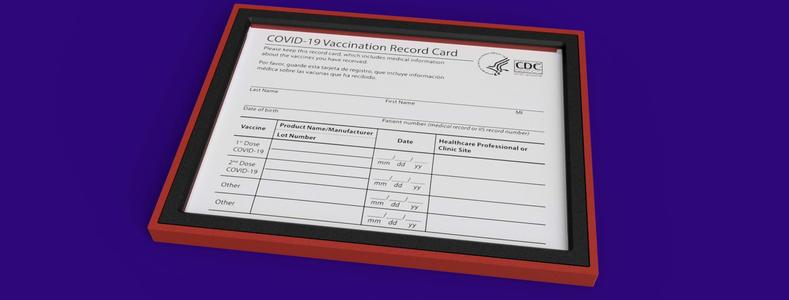 Covid Vaccination Card Case