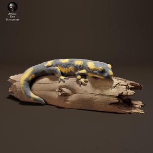 Fire Salamander