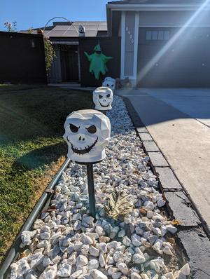 Solar Path Light Skull