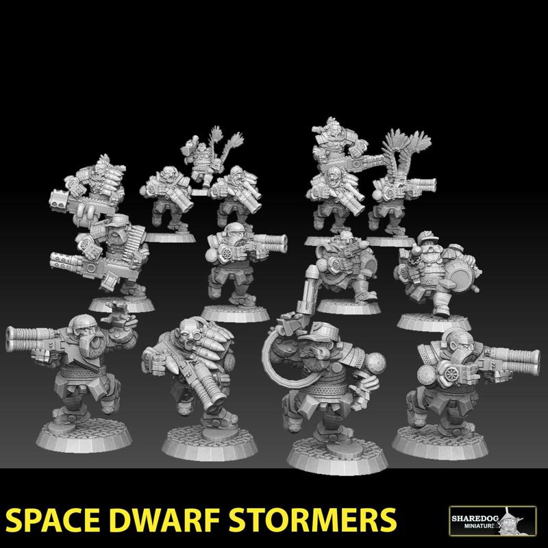 Space Dwarf Stormers