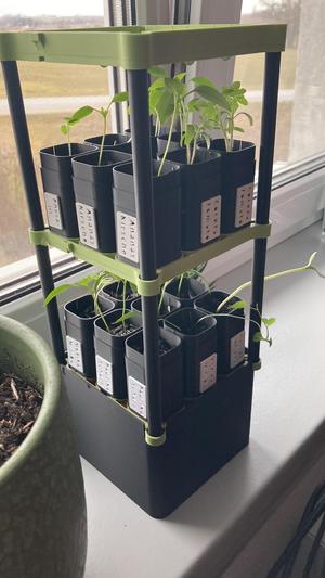 🌱 Seedling Growth Tower - Smart Watering System & Innovative Design