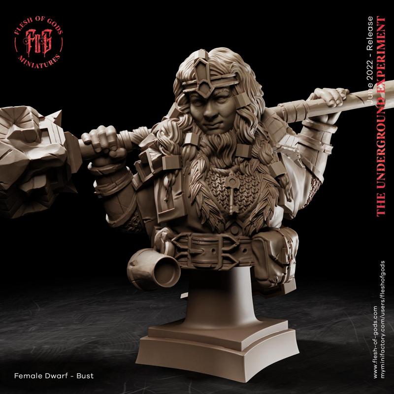 Female Dwarf Warrior - Bust