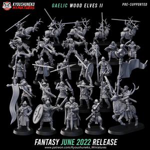 June 2022 Fantasy Release - Gaelic Wood Elf Army