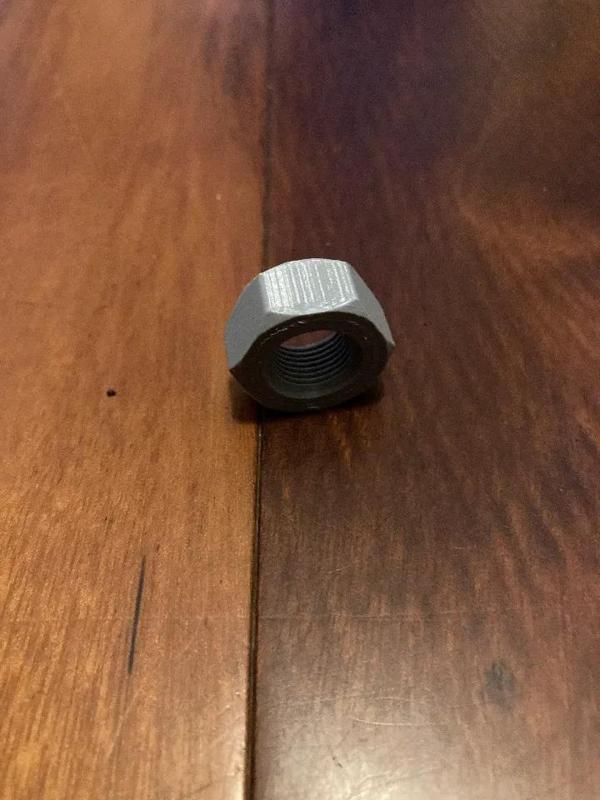 Hexy the Nut ╰(*°▽°*)╯   