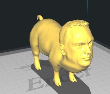 Viktor Orban pig
