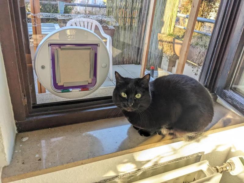 Training flap for CatMate/CloserPets cat door   