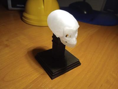 Base for Crystal Skull Indiana Jones