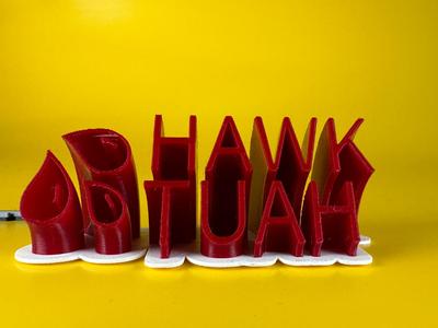 Hawk Tuah Sweeping Name Plate