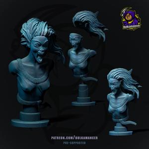 Bruxa (Witcher Series) | Bust Version | Pre-Supported