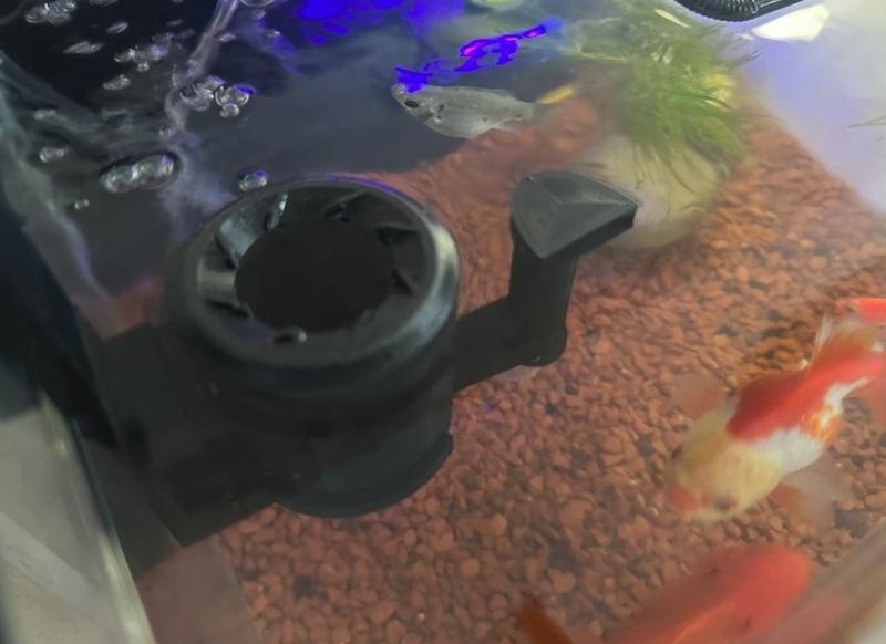 Aquarium Surface Skimmer using Air Pump