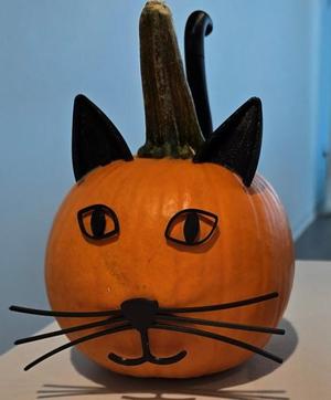 Cat Pumpkin Decorations
