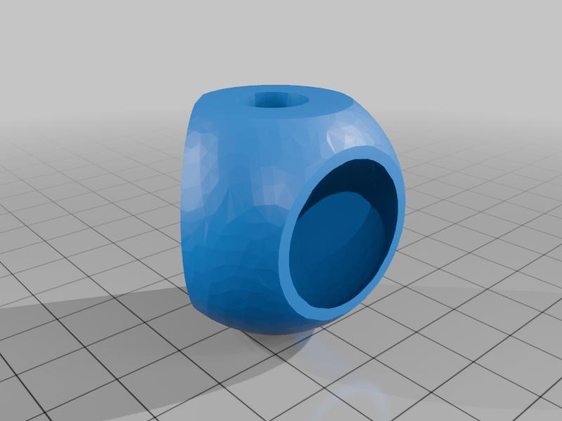 corner-hide-jumpingspider