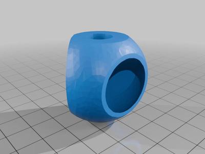 corner-hide-jumpingspider