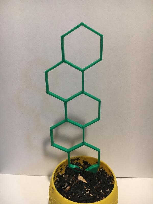 Vertical hexagon houseplant support