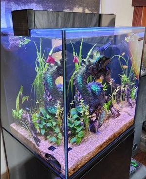 Aquarium spacer light