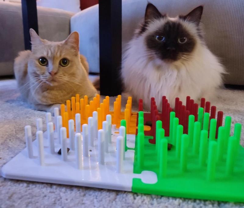 Cat Toy - play board
