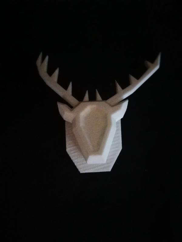 Trophy of deer's head