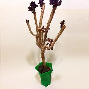 Eckerput Vase