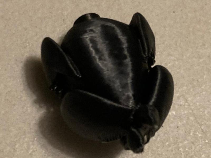 Roast/Rotisserie Chicken