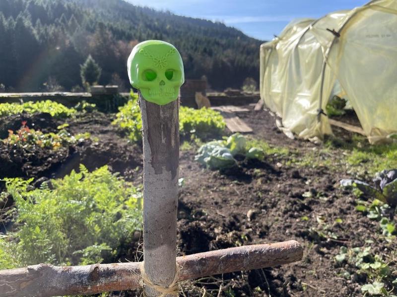 Dia de los Muertos Skull