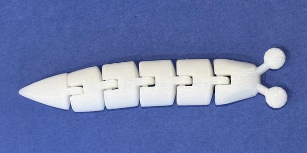 Articulated Slug With Shortened Tentacles