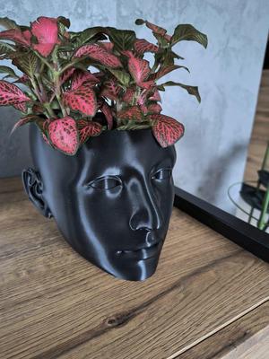 Woman head flowerpot