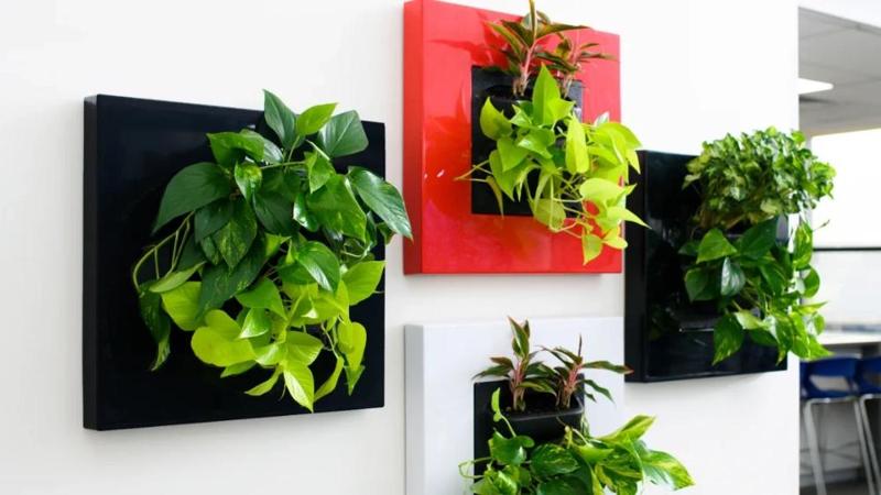 easy green wall garden