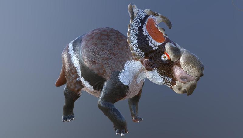 Pachyrhinosaurus Perotorum (Conservative Integument)