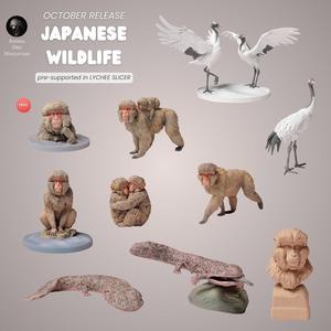 October Release 2024 - Japanese Wildlife