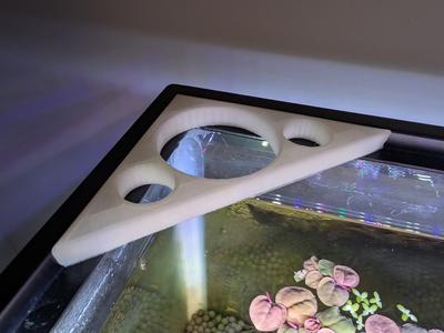 Air plant Fish Tank Holder