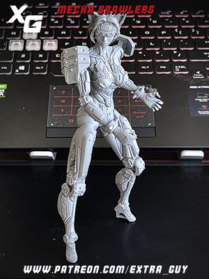 cyberpunk kungfu girl 3D Print over 180 mm