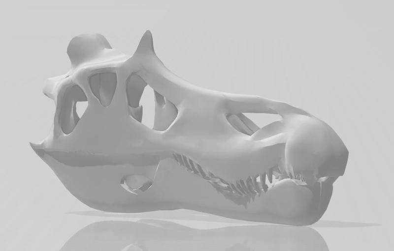 Baryonyx skull