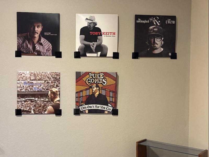 Vinyl Record Display Wall Mount