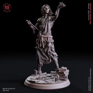 Blood Cultist 01