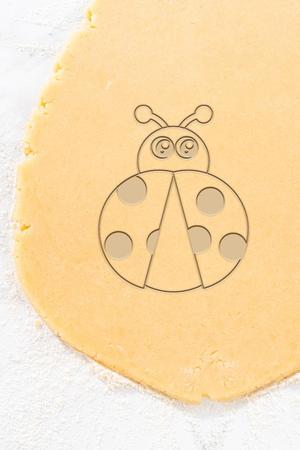 Butterfly Cookie Cutter, Biscuit Cutter