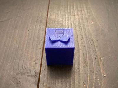 Blueberry from grow a garden