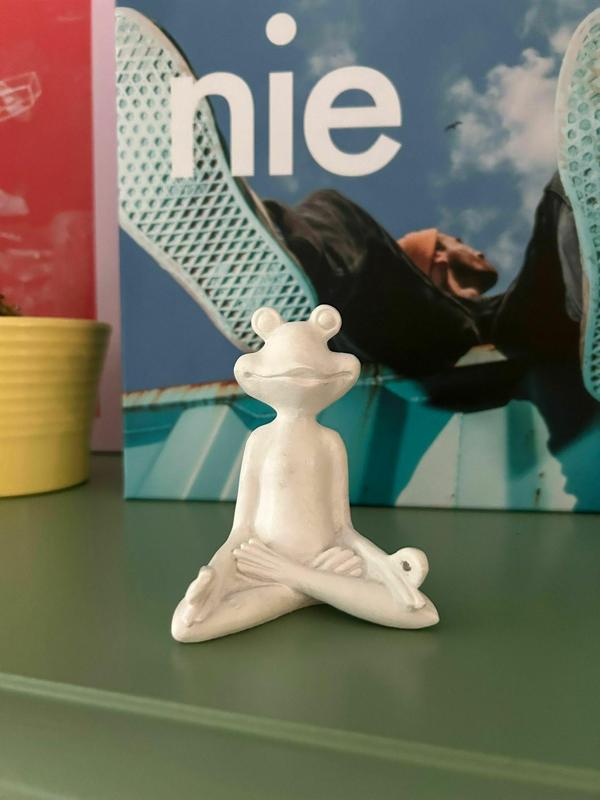 Yoga Frog / Yoga Frog