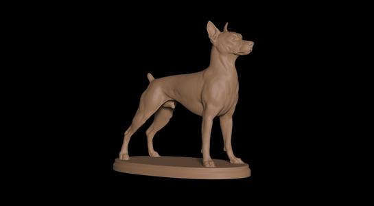Pinscher