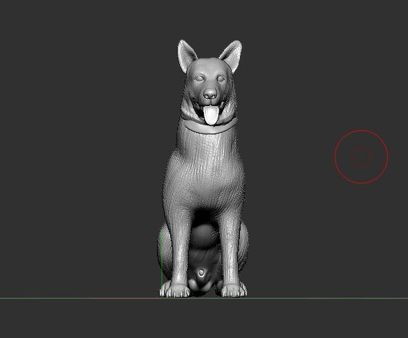 German Shepherd dog , dog